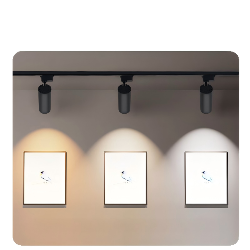 Sleek modern LED track lights with adjustable spot lamps. Bright, energy-saving lighting for indoor commercial and home accent illumination.